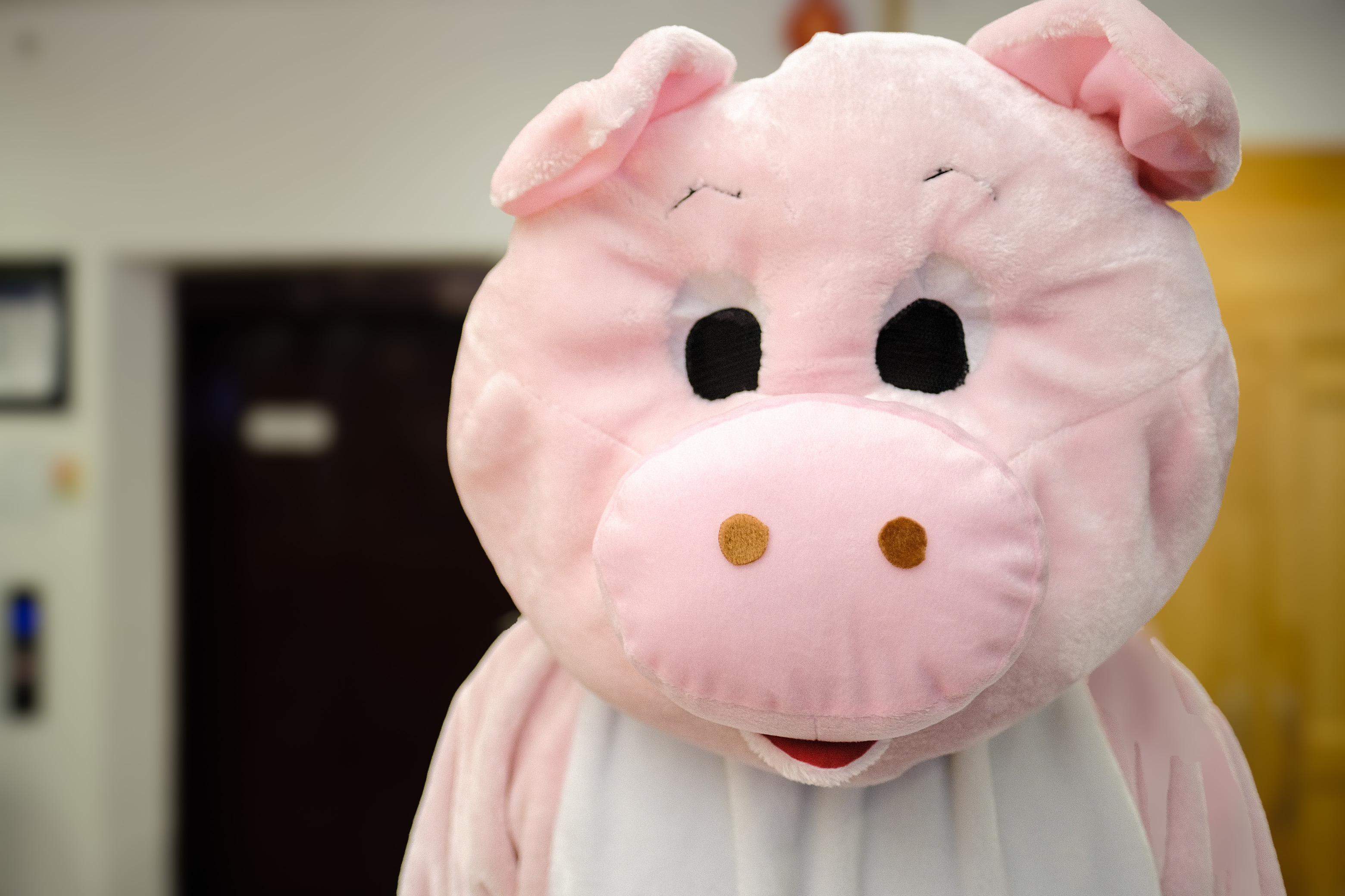 Sparegrisen - gammel maskot