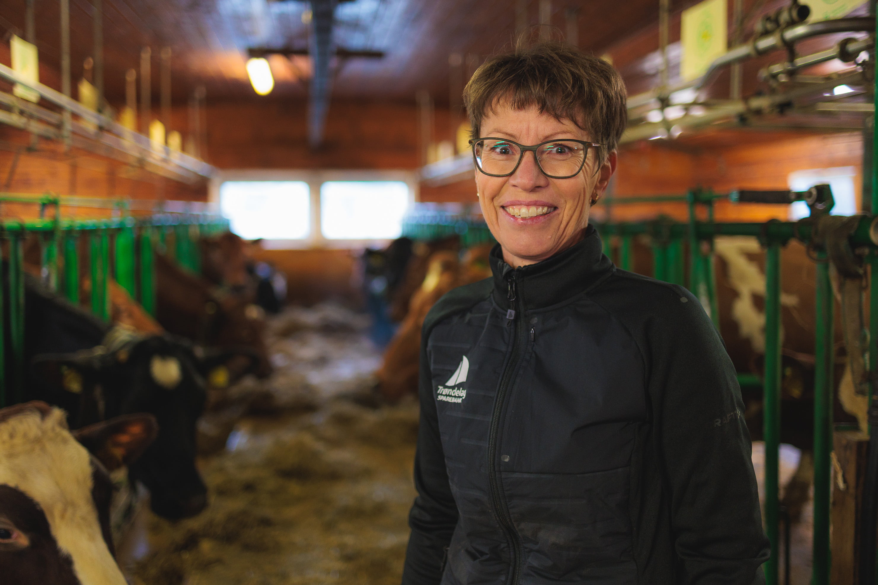 Kari i fjoset - Landbruk BM Kampanje