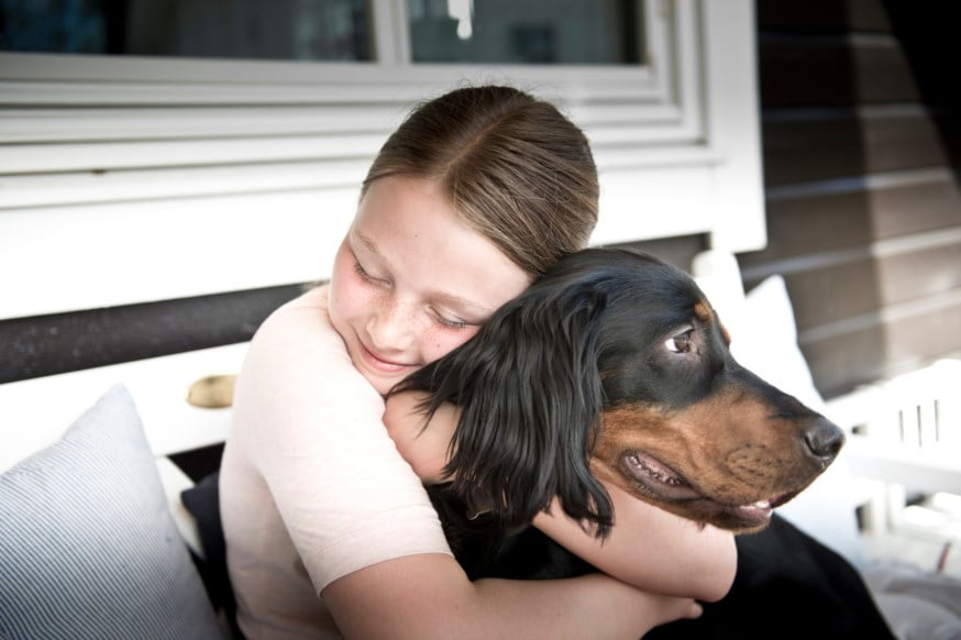 jente klemmer hund